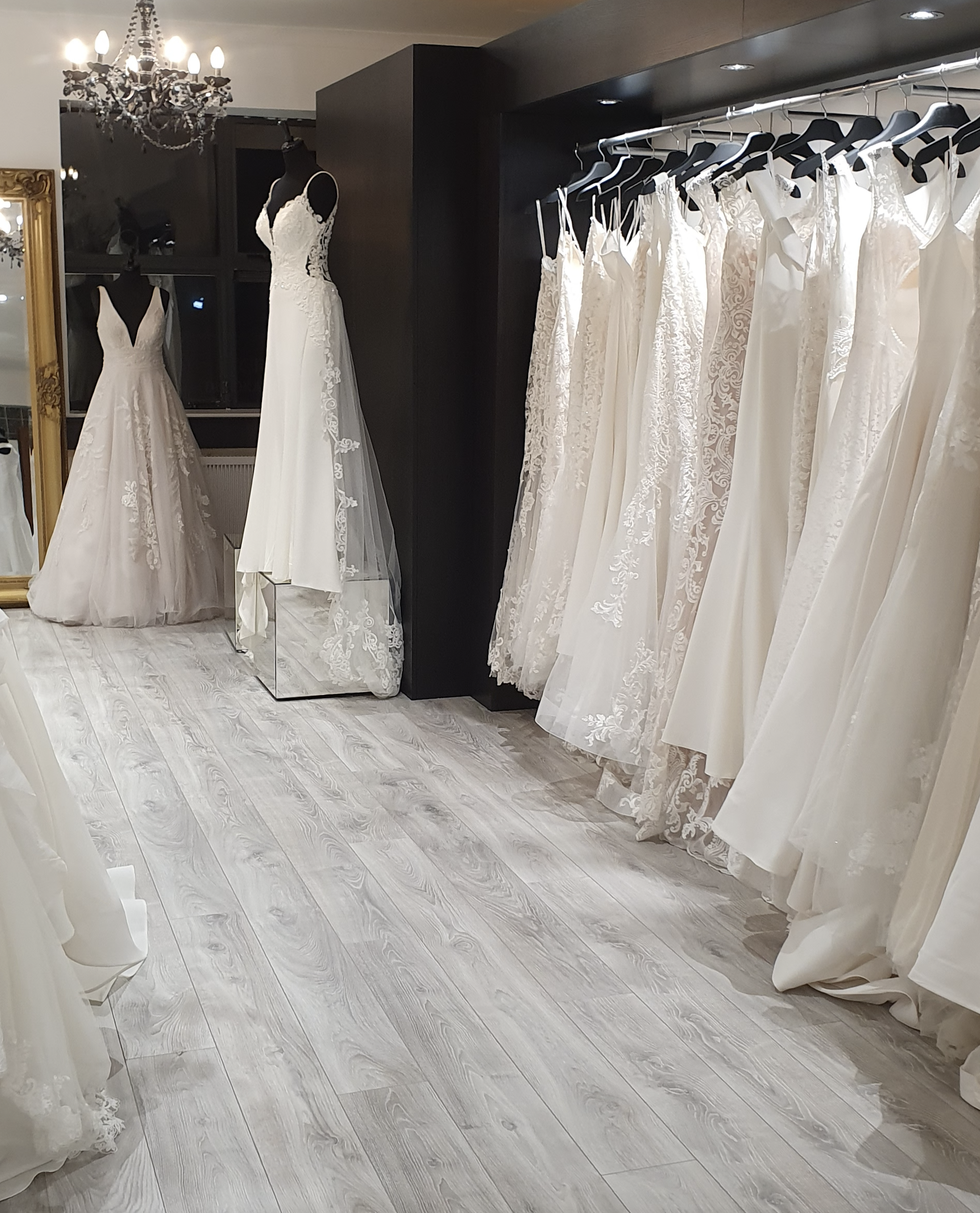 Wedding Dress Journey: The Process, Timeline, and More!. Desktop Image
