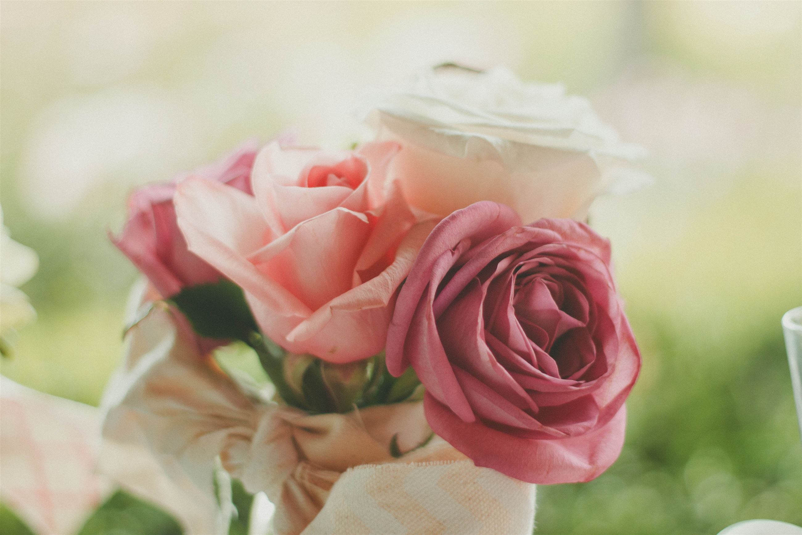 Romantic Dresses We Love This Valentine&#39;s Day. Desktop Image